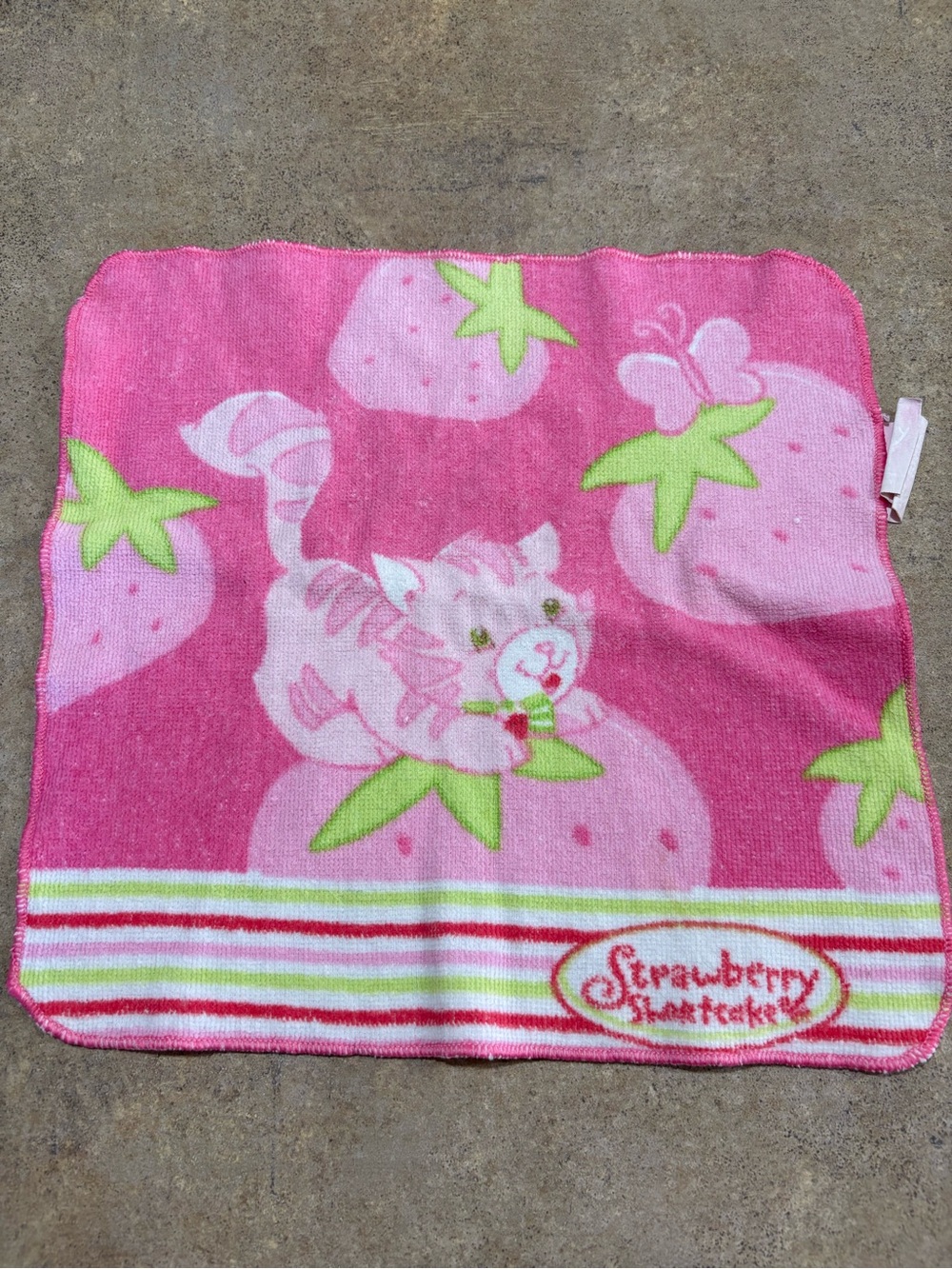 Strawberry Shortcake Custard The Cat 2003 Y2K Vintage Washcloth Kidcore